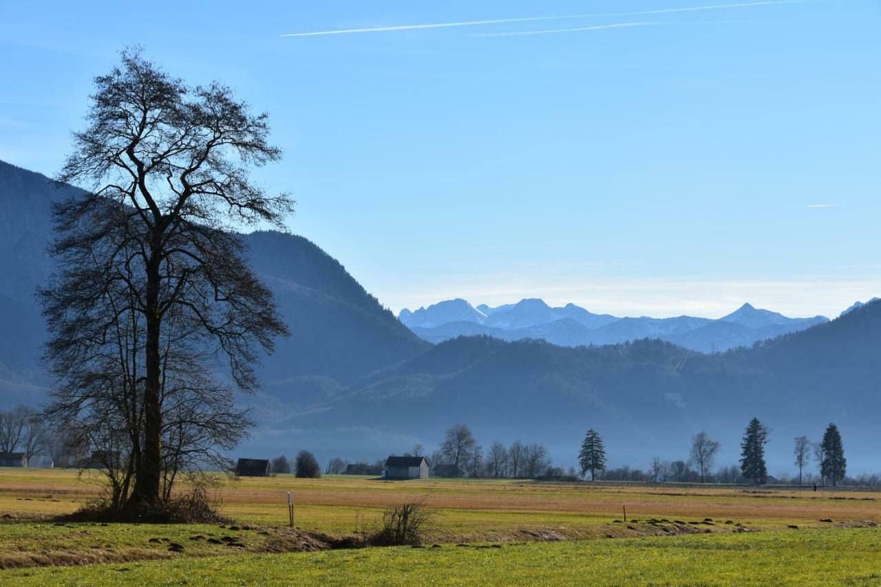 Alpenheim Leilighet Garmisch-Partenkirchen Eksteriør bilde